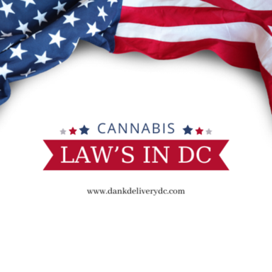 How to Navigate Cannabis Laws in Washington DC