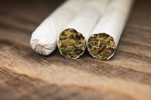 Discover the Sweet and Potent Banana Cream Strain