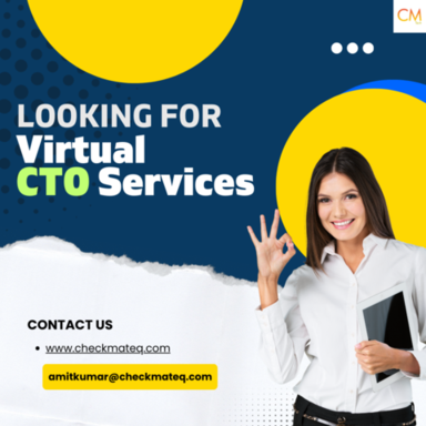 Virtual CTO Services (4).png