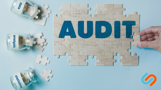 IRS Audits Corporate Jet Usage: Impact on Self-Emp