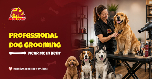 Professional Dog Grooming Near Me in Kent.jpg
